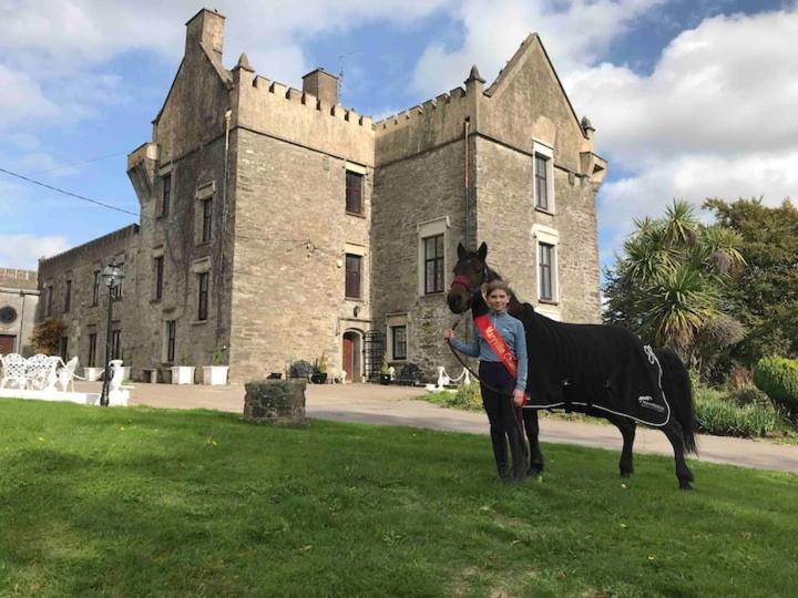 Ballea Castle Cork Exterior photo